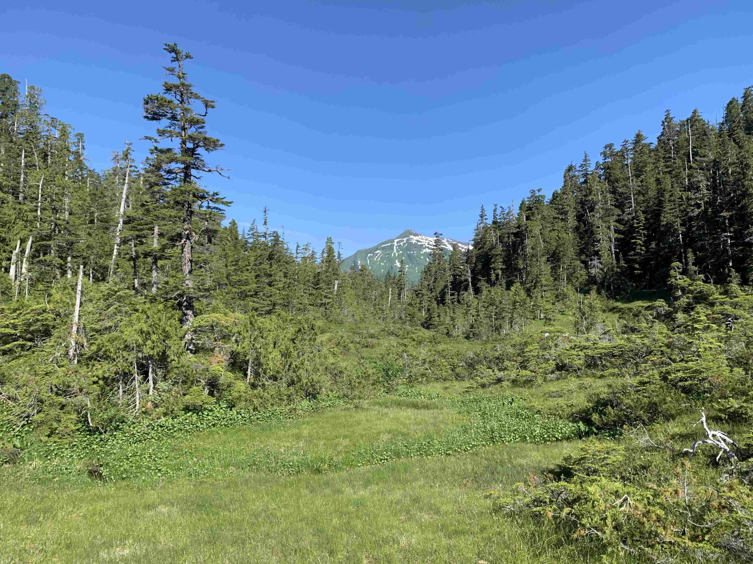 img30 (1)